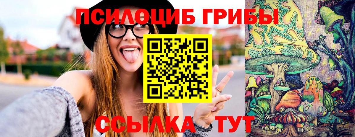 Галлюциногенные грибы GOLDEN TEACHER  даркнет сайт  Новозыбков  Вход с VPN 